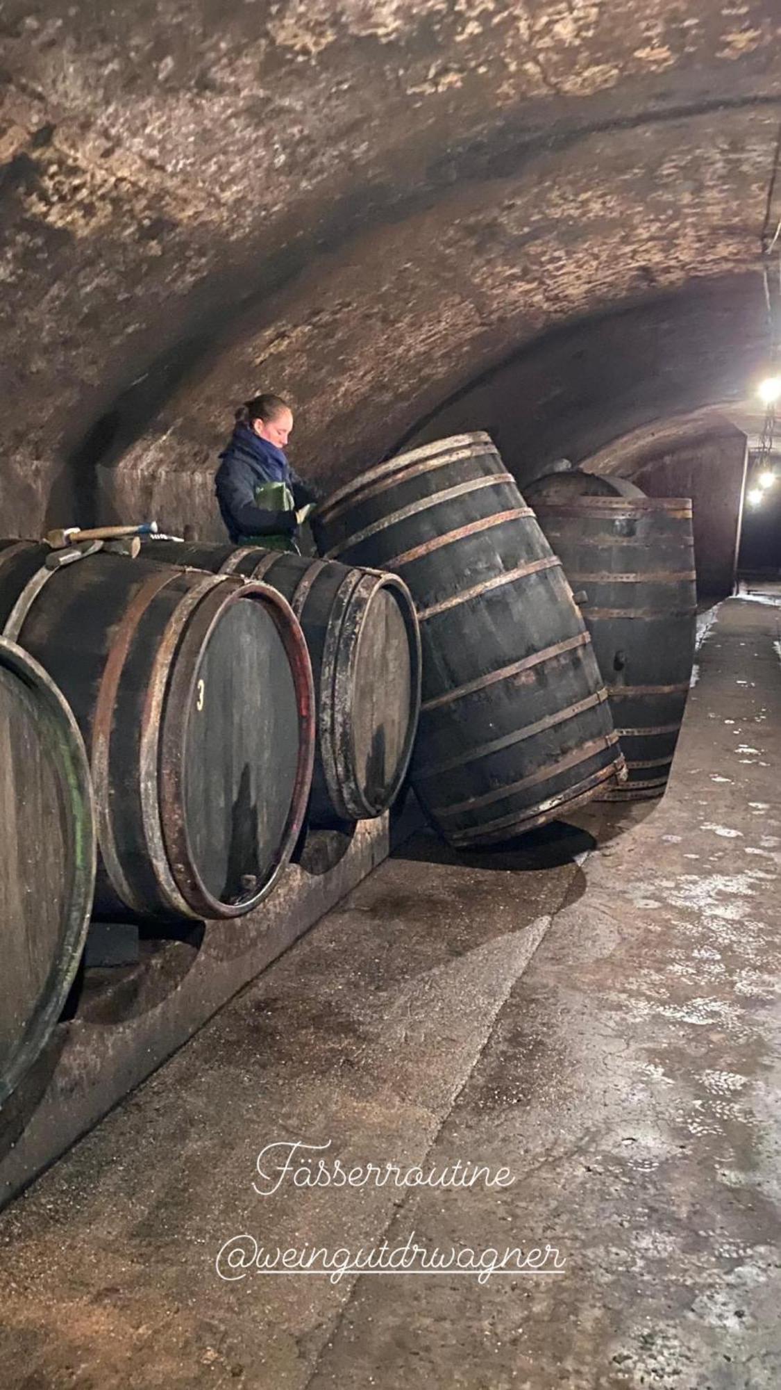 فيلا Weingut Dr Wagner ساربورغ المظهر الخارجي الصورة