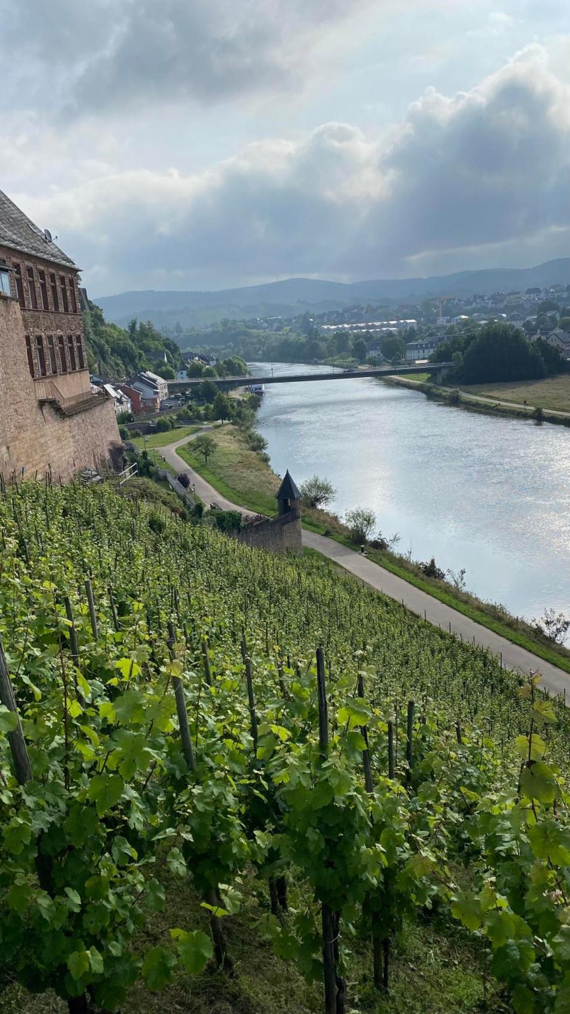 فيلا Weingut Dr Wagner ساربورغ المظهر الخارجي الصورة